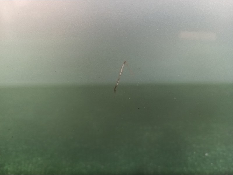 Recambio de puerta delantera izquierda para ford fusion (cbk) ambiente referencia OEM IAM   