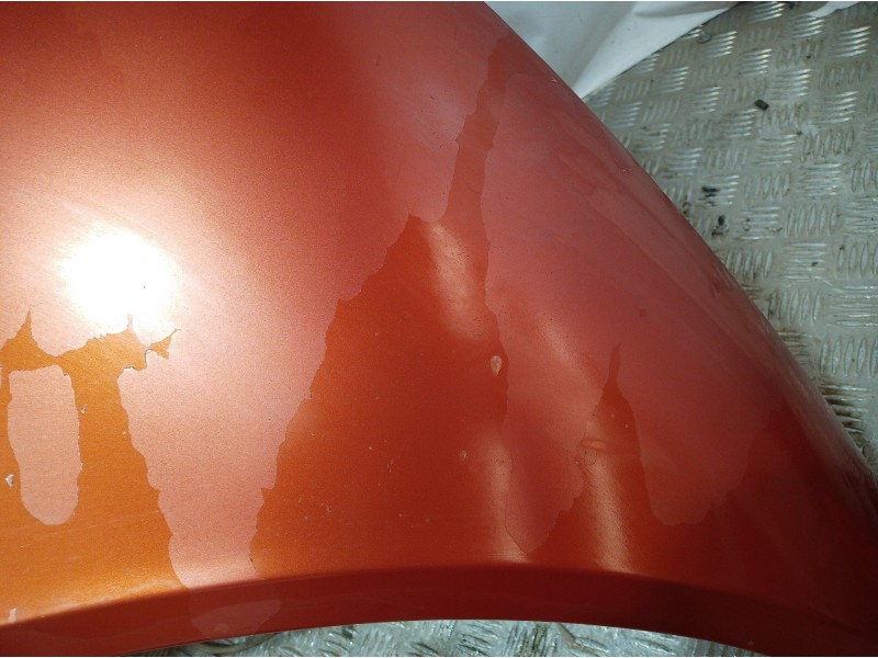 Recambio de capot para renault scenic ii 1.5 dci diesel referencia OEM IAM   