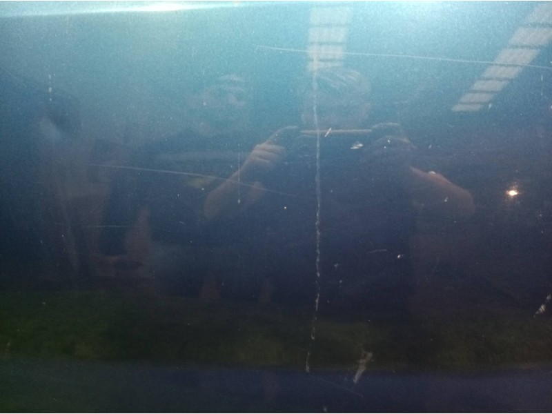 Recambio de puerta trasera izquierda para nissan almera tino (v10m) 2.2 16v turbodiesel cat referencia OEM IAM   