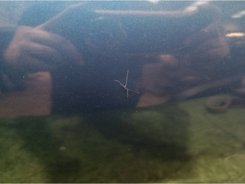 Recambio de porton trasero para nissan almera tino (v10m) 2.2 16v turbodiesel cat referencia OEM IAM   