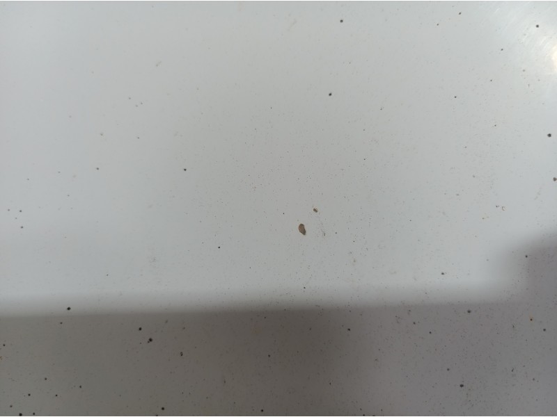 Recambio de capot para ford transit combi ´06 ft 260 corto referencia OEM IAM   