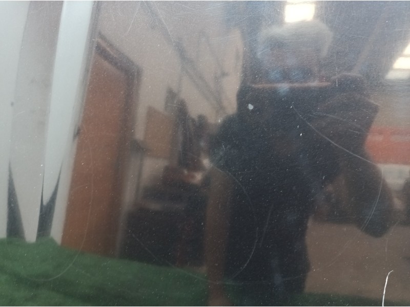 Recambio de capot para fiat panda (169) 1.2 8v alessi referencia OEM IAM   