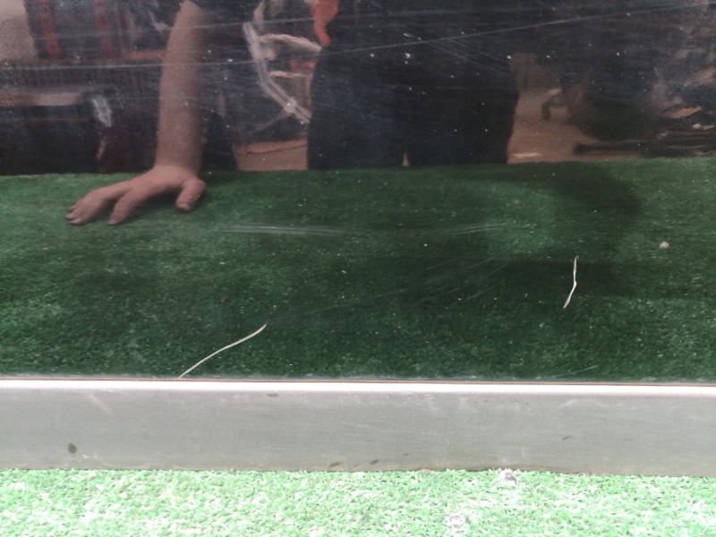 Recambio de puerta delantera derecha para subaru tribeca b9 limited referencia OEM IAM 5PUERTAS 5 PUERTAS 5 PUERTAS