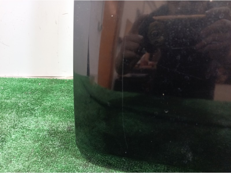 Recambio de porton trasero para fiat panda (169) 1.2 8v alessi referencia OEM IAM   