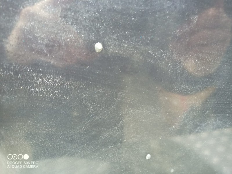 Recambio de capot para bmw serie 3 berlina (e90) 316d referencia OEM IAM   