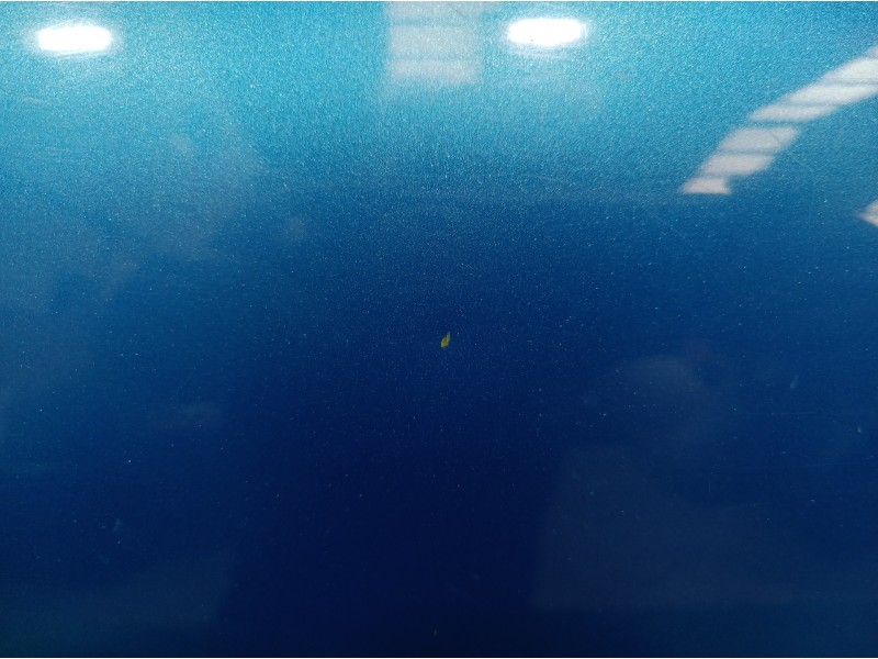 Recambio de puerta trasera izquierda para renault clio ii fase ii (b/cb0) dynamique referencia OEM IAM   