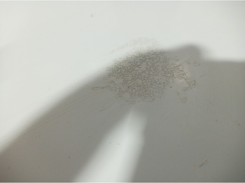 Recambio de capot para peugeot expert tepee l1h1 premium referencia OEM IAM   