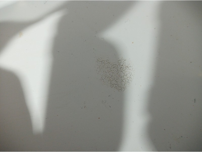 Recambio de capot para peugeot expert tepee l1h1 premium referencia OEM IAM   