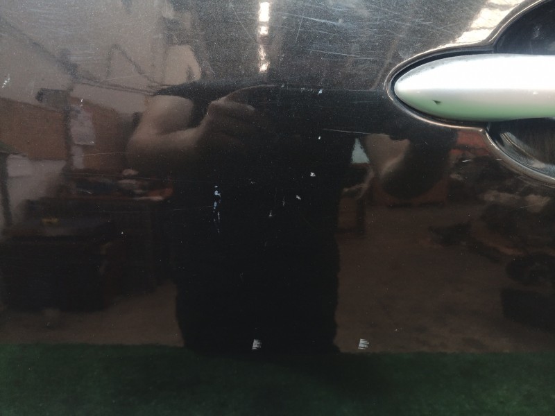 Recambio de puerta trasera izquierda para renault scenic ii confort dynamique referencia OEM IAM  5 PUERTAS 5 PUERTAS