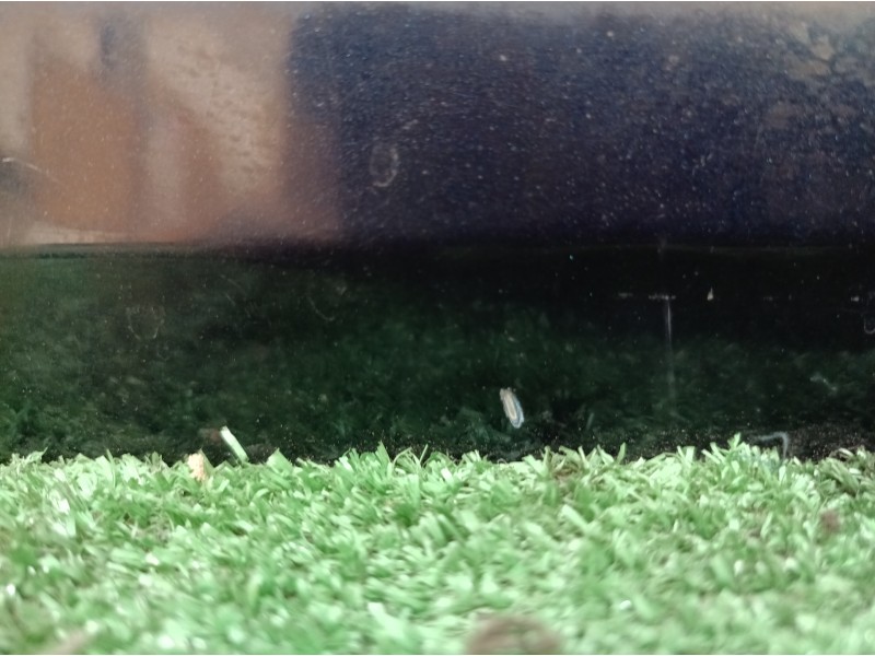 Recambio de tapa maletero para bmw serie 3 berlina (e46) 318i referencia OEM IAM 5PUERTAS 5 PUERTAS 5 PUERTAS