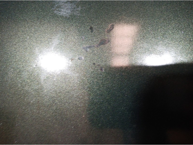 Recambio de capot para land rover freelander (ln) 2.0 di familiar (72kw) referencia OEM IAM   