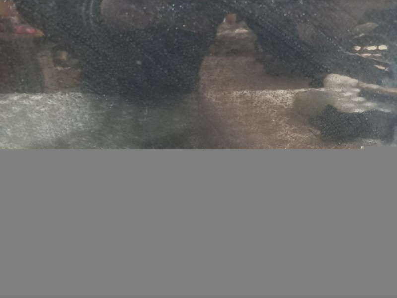 Recambio de puerta delantera derecha para bmw serie 3 berlina (e90) 316d referencia OEM IAM   