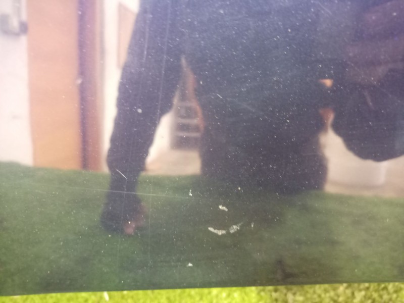 Recambio de capot para chrysler voyager (gs) 2.0 16v cat referencia OEM IAM   