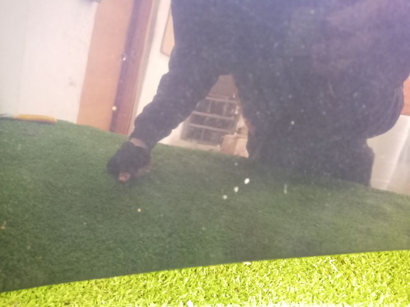 Recambio de capot para chrysler voyager (gs) 2.0 16v cat referencia OEM IAM   