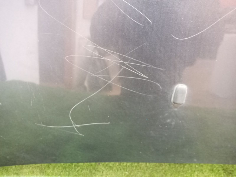 Recambio de capot para bmw 1 (e87) 116 i referencia OEM IAM   