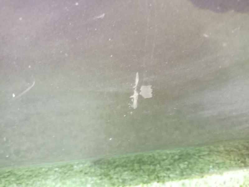 Recambio de puerta delantera izquierda para bmw 1 (e87) 116 i referencia OEM IAM   