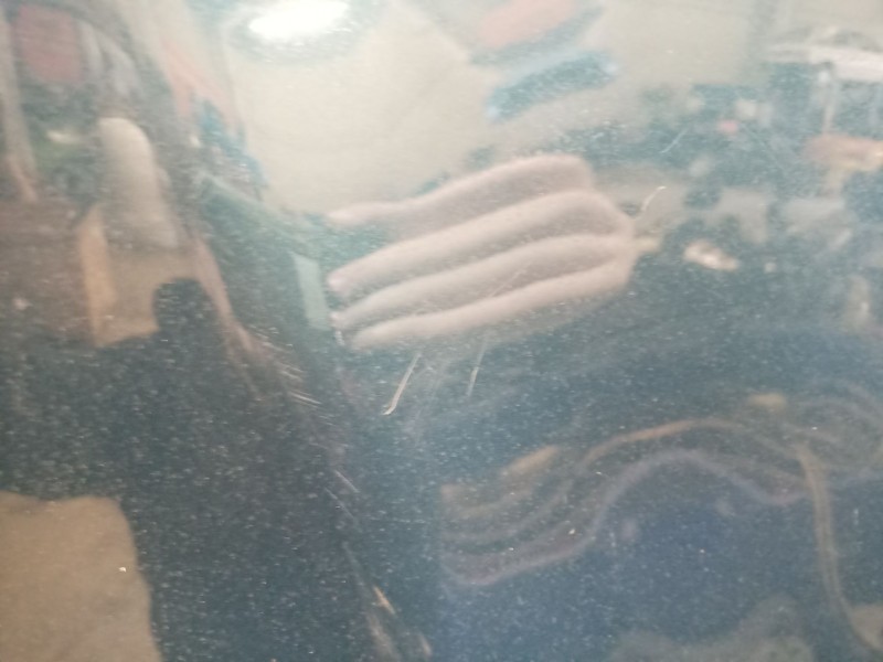 Recambio de capot para volvo s70 (874) 2.5 tdi referencia OEM IAM   