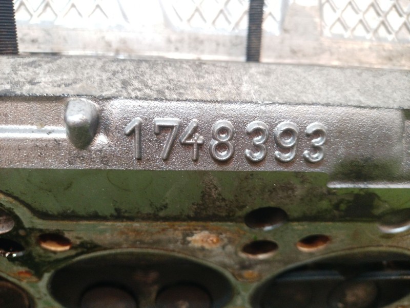 Recambio de culata para bmw serie 5 berlina (e39) 2.0 24v referencia OEM IAM 1748393 1748393 1748393