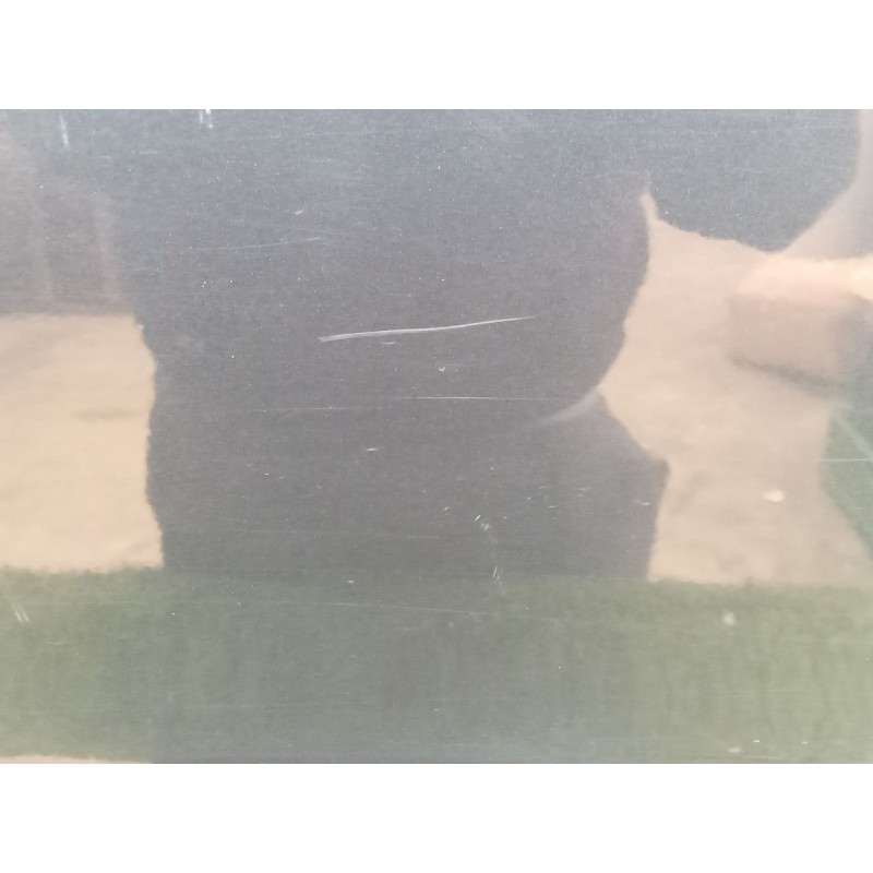 Recambio de puerta trasera derecha para mercedes-benz clase s (w220) berlina 3.2 cdi cat referencia OEM IAM   