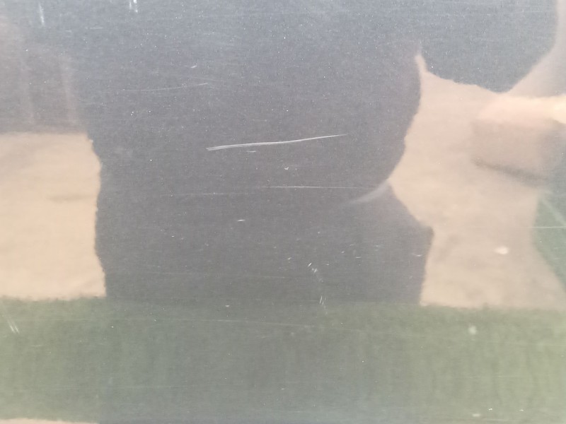 Recambio de puerta trasera derecha para mercedes-benz clase s (w220) berlina 3.2 cdi cat referencia OEM IAM   