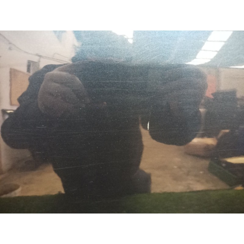 Recambio de puerta trasera derecha para mercedes-benz clase s (w220) berlina 3.2 cdi cat referencia OEM IAM   