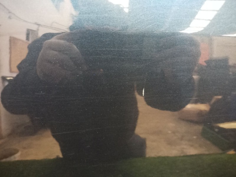 Recambio de puerta trasera derecha para mercedes-benz clase s (w220) berlina 3.2 cdi cat referencia OEM IAM   