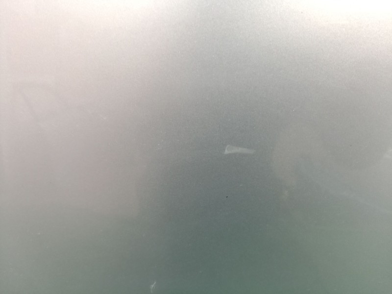 Recambio de puerta trasera izquierda para seat exeo st (3r5) 2.0 tdi referencia OEM IAM   