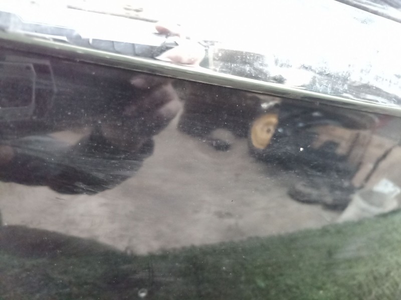 Recambio de porton trasero para opel insignia a sedán (g09) 2.0 cdti (69) referencia OEM IAM   