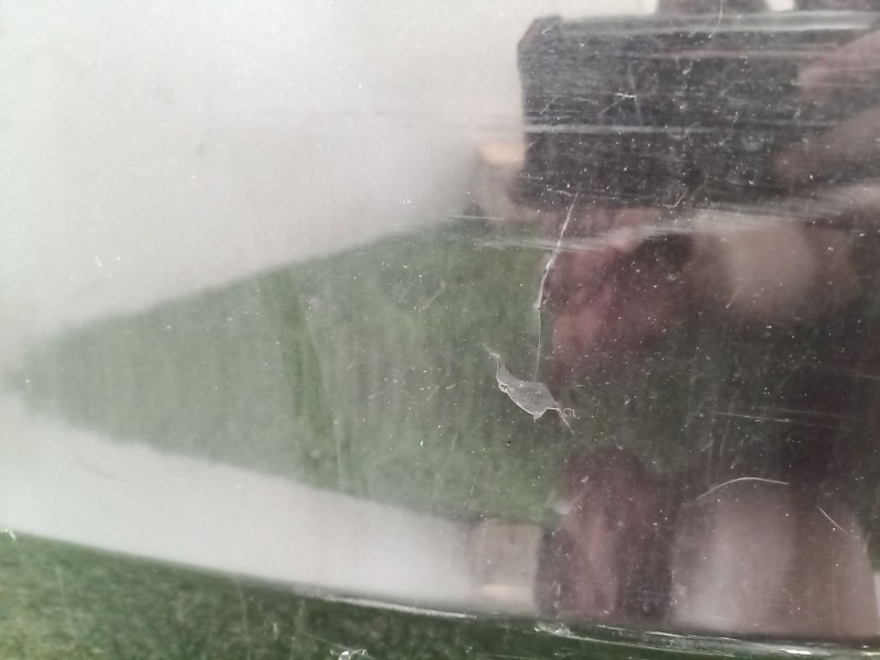 Recambio de paragolpes trasero para opel insignia a sedán (g09) 2.0 cdti (69) referencia OEM IAM   