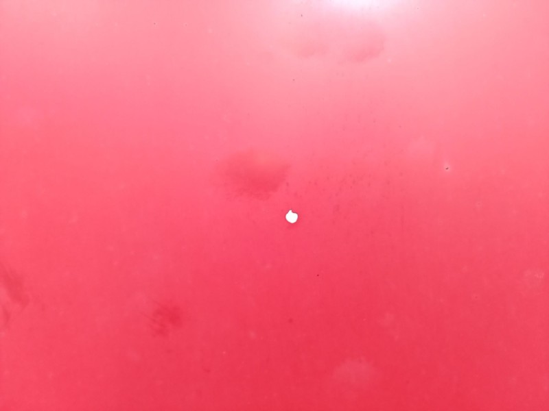 Recambio de capot para opel tigra twintop (x04) 1.3 cdti (r97) referencia OEM IAM   