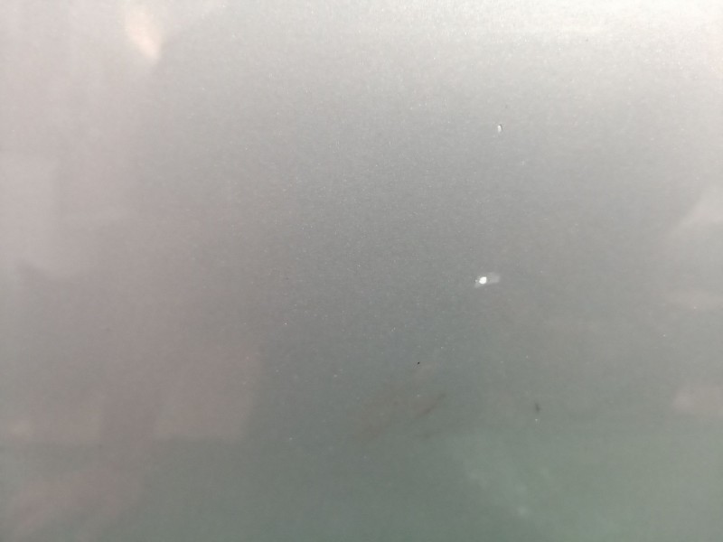 Recambio de puerta trasera izquierda para audi a4 b7 (8ec) 2.0 tdi referencia OEM IAM   