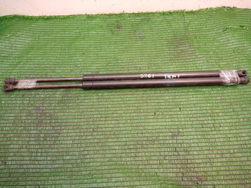 Recambio de amortiguadores maletero / porton para chrysler voyager (rg) referencia OEM IAM   