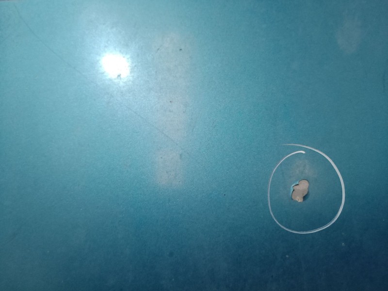 Recambio de capot para ford transit furgoneta (fa_ _) 2.0 di (fae_, faf_, fag_) referencia OEM IAM SINREF SIN REF SIN REF