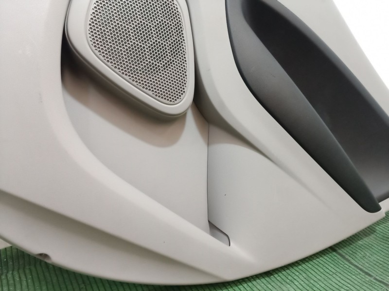 Recambio de guarnecido puerta trasera derecha para renault zoe 2014 referencia OEM IAM   