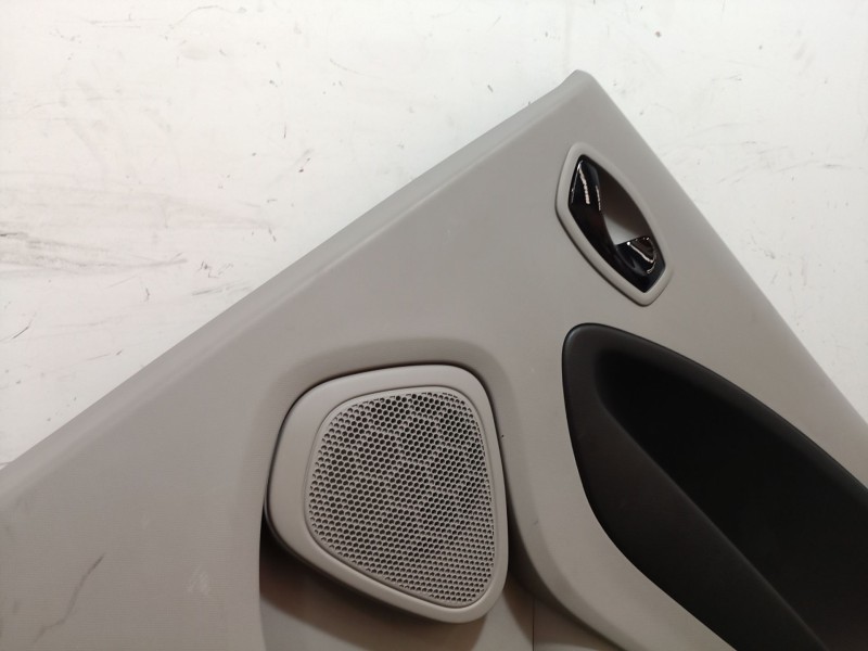 Recambio de guarnecido puerta trasera derecha para renault zoe 2014 referencia OEM IAM   