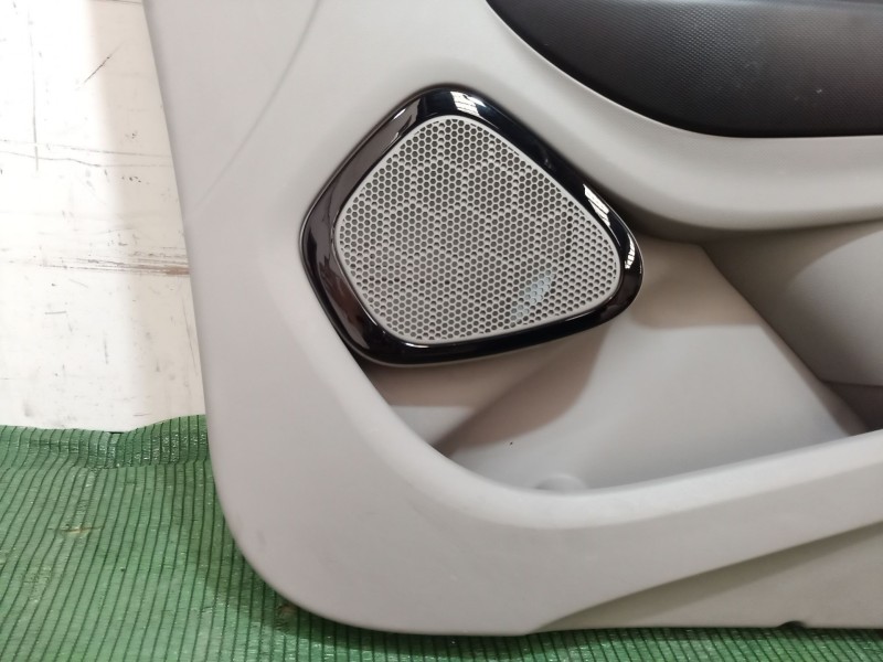 Recambio de guarnecido puerta delantera derecha para renault zoe 2014 referencia OEM IAM   