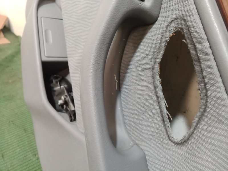 Recambio de guarnecido puerta trasera derecha para bmw 5 (e39) 523 i referencia OEM IAM   