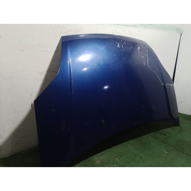 Recambio de capot para ford fiesta v (jh_, jd_) st150 referencia OEM IAM   