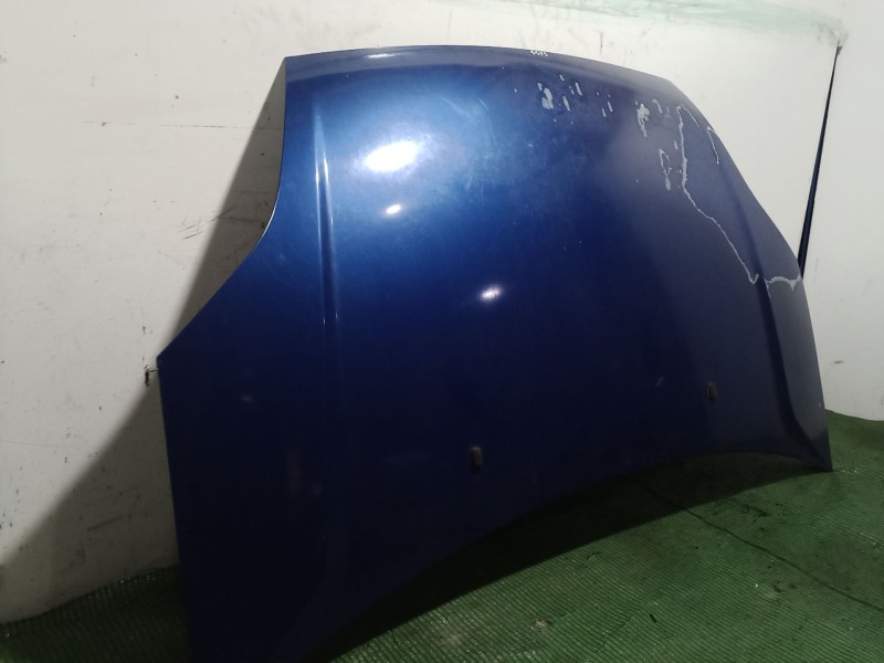 Recambio de capot para ford fiesta v (jh_, jd_) st150 referencia OEM IAM   