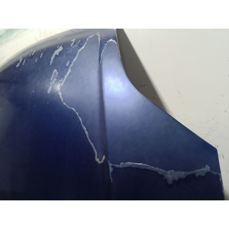 Recambio de capot para ford fiesta v (jh_, jd_) st150 referencia OEM IAM   