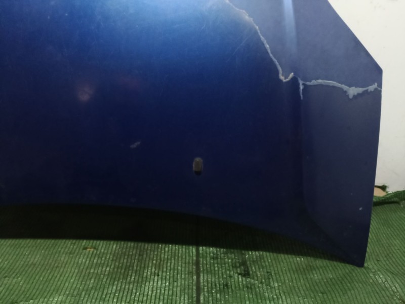 Recambio de capot para ford fiesta v (jh_, jd_) st150 referencia OEM IAM   