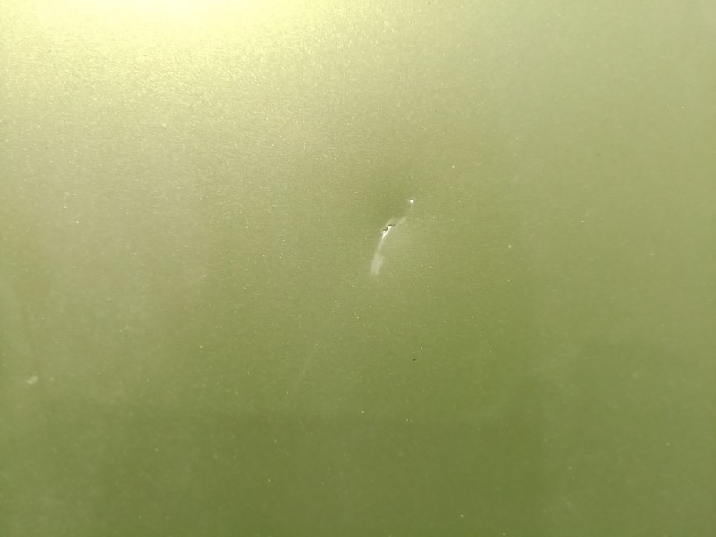 Recambio de capot para seat ibiza iv (6j5, 6p1) 1.4 referencia OEM IAM sinref sin ref sin ref