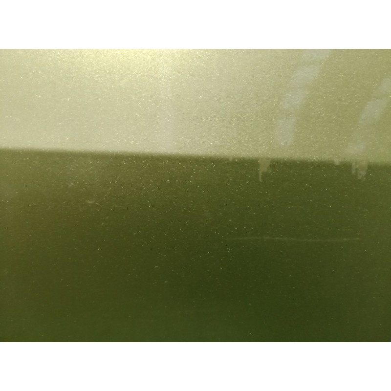 Recambio de puerta delantera izquierda para seat ibiza iv (6j5, 6p1) 1.4 referencia OEM IAM   