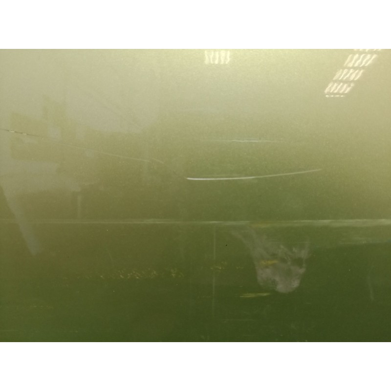 Recambio de puerta trasera derecha para seat ibiza iv (6j5, 6p1) 1.4 referencia OEM IAM   