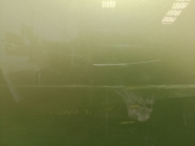 Recambio de puerta trasera derecha para seat ibiza iv (6j5, 6p1) 1.4 referencia OEM IAM   