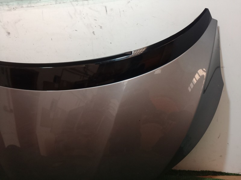 Recambio de capot para renault scénic iv (j9_) 1.3 tce 160 (j9nc) referencia OEM IAM   
