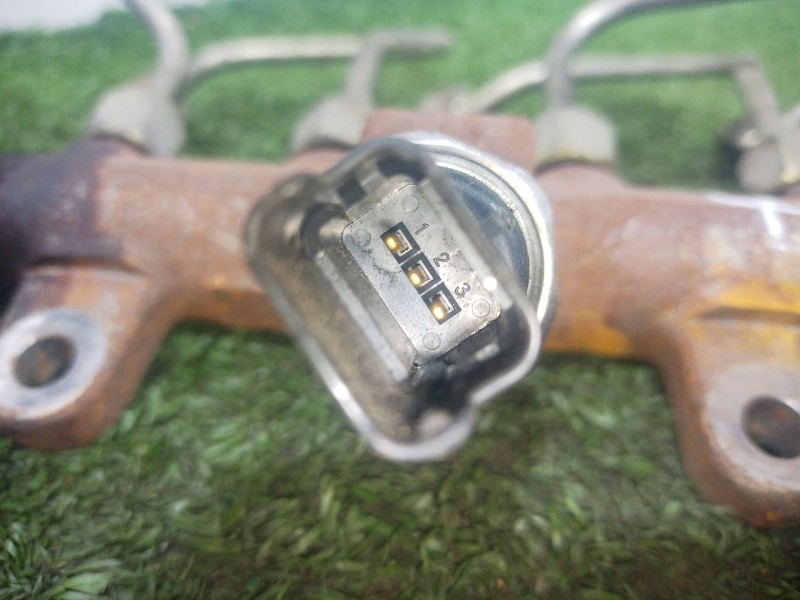 Recambio de rampa inyectora para renault megane ii coupe/cabrio authentique referencia OEM IAM   