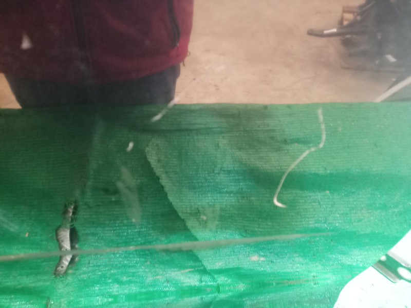 Recambio de puerta trasera derecha para hyundai i30 (gd) 1.4 referencia OEM IAM   