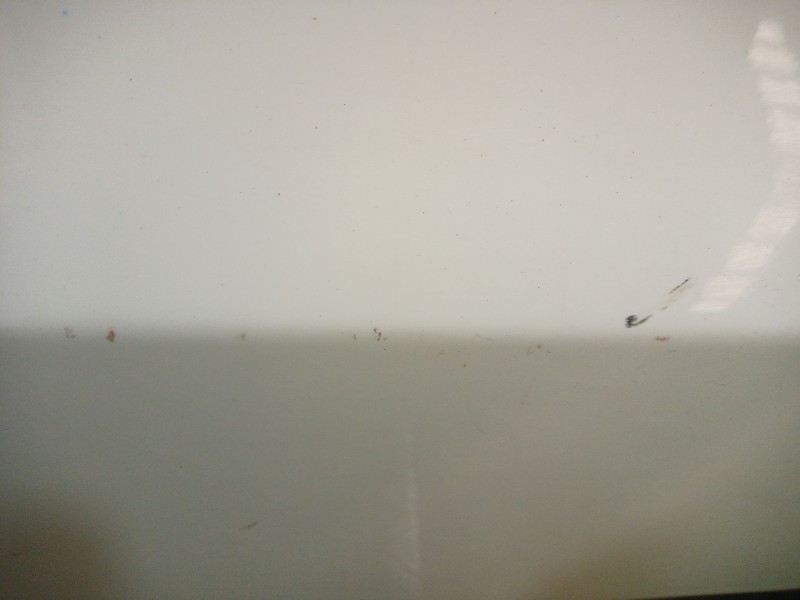 Recambio de puerta delantera derecha para audi q3 (8ub, 8ug) 2.0 tdi referencia OEM IAM   