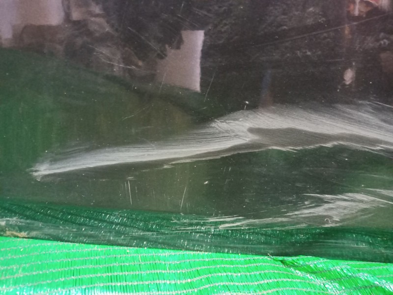 Recambio de puerta delantera izquierda para seat leon (1p1) 2.0 tdi 16v referencia OEM IAM   